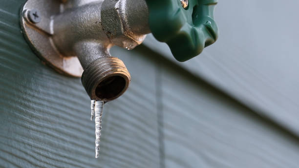 Best Plumbing Inspection Services  in Brawley, CA